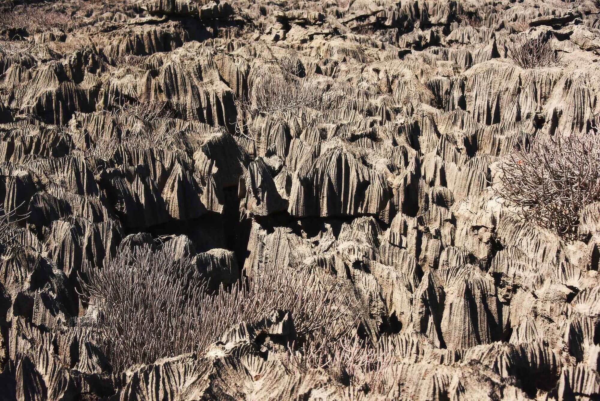 Ankarana Nationalpark