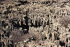 Ankarana Nationalpark
