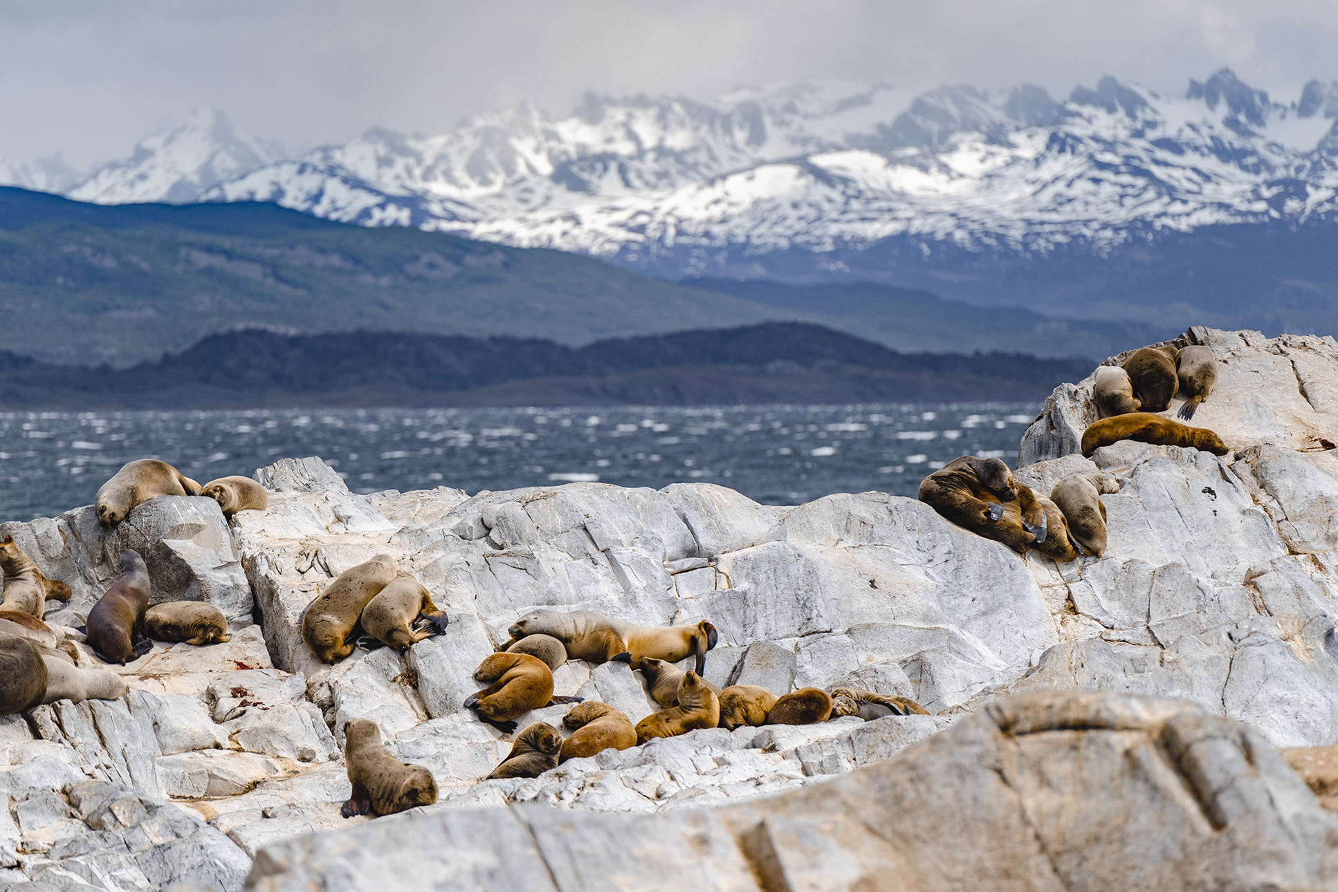 Patagonien