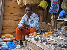 Serengeti Ndutu-Kälbung und die Buschmänner von Lake Eyasi