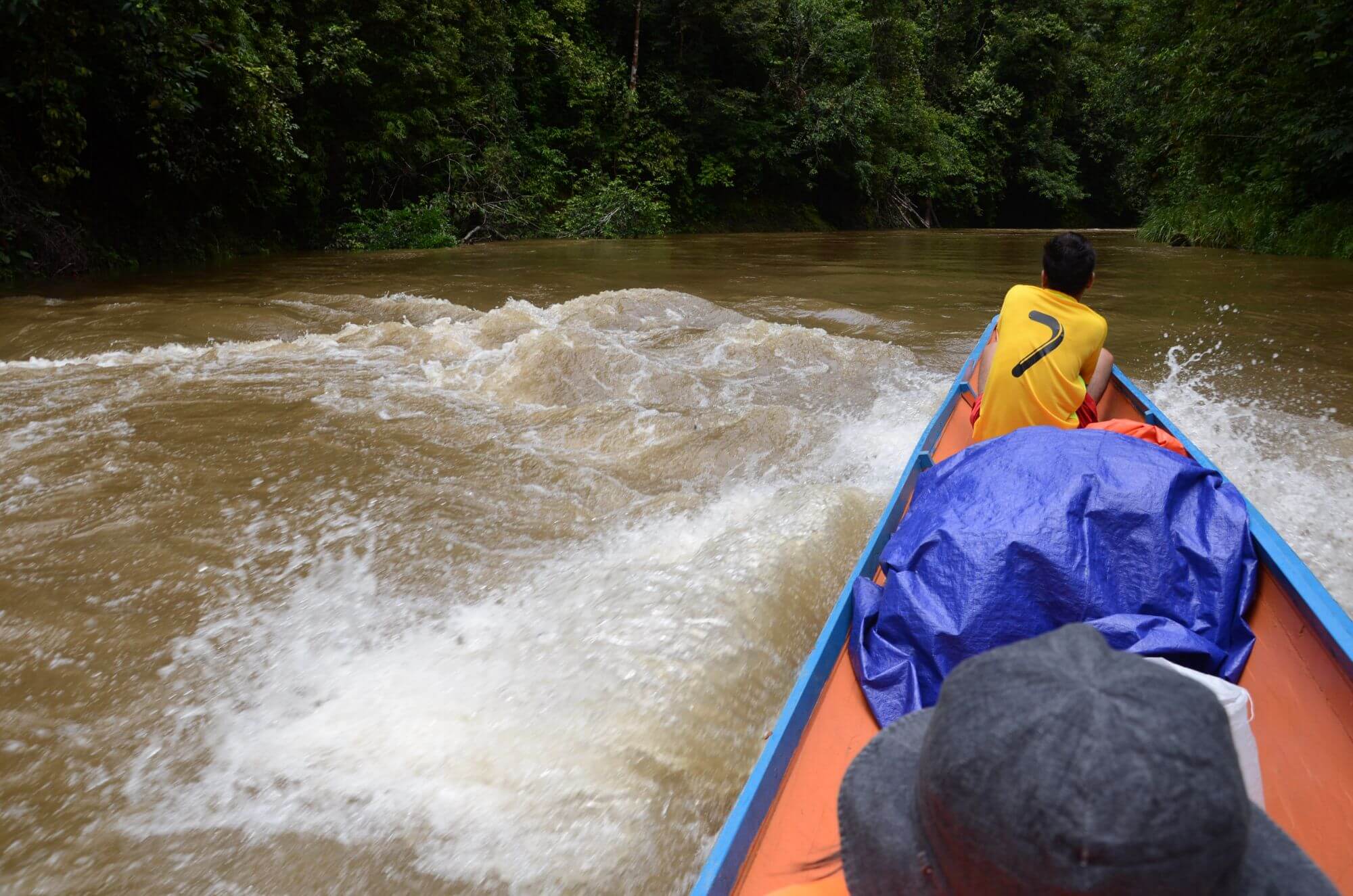 Batang Ai Nationalpark display image