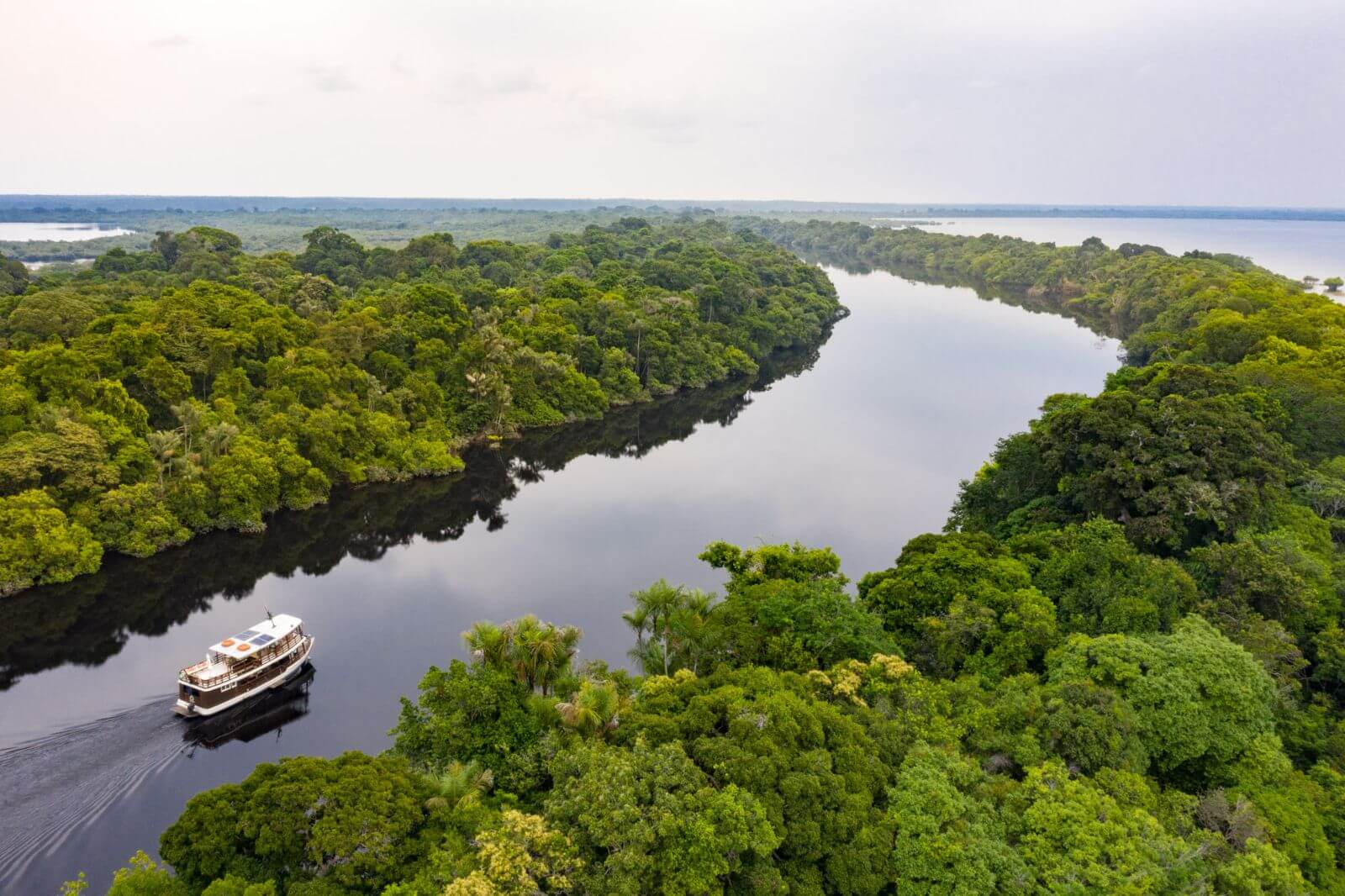 Der Amazonas