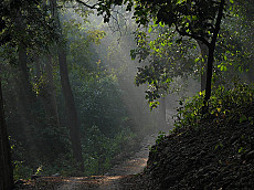 Aahana Resort