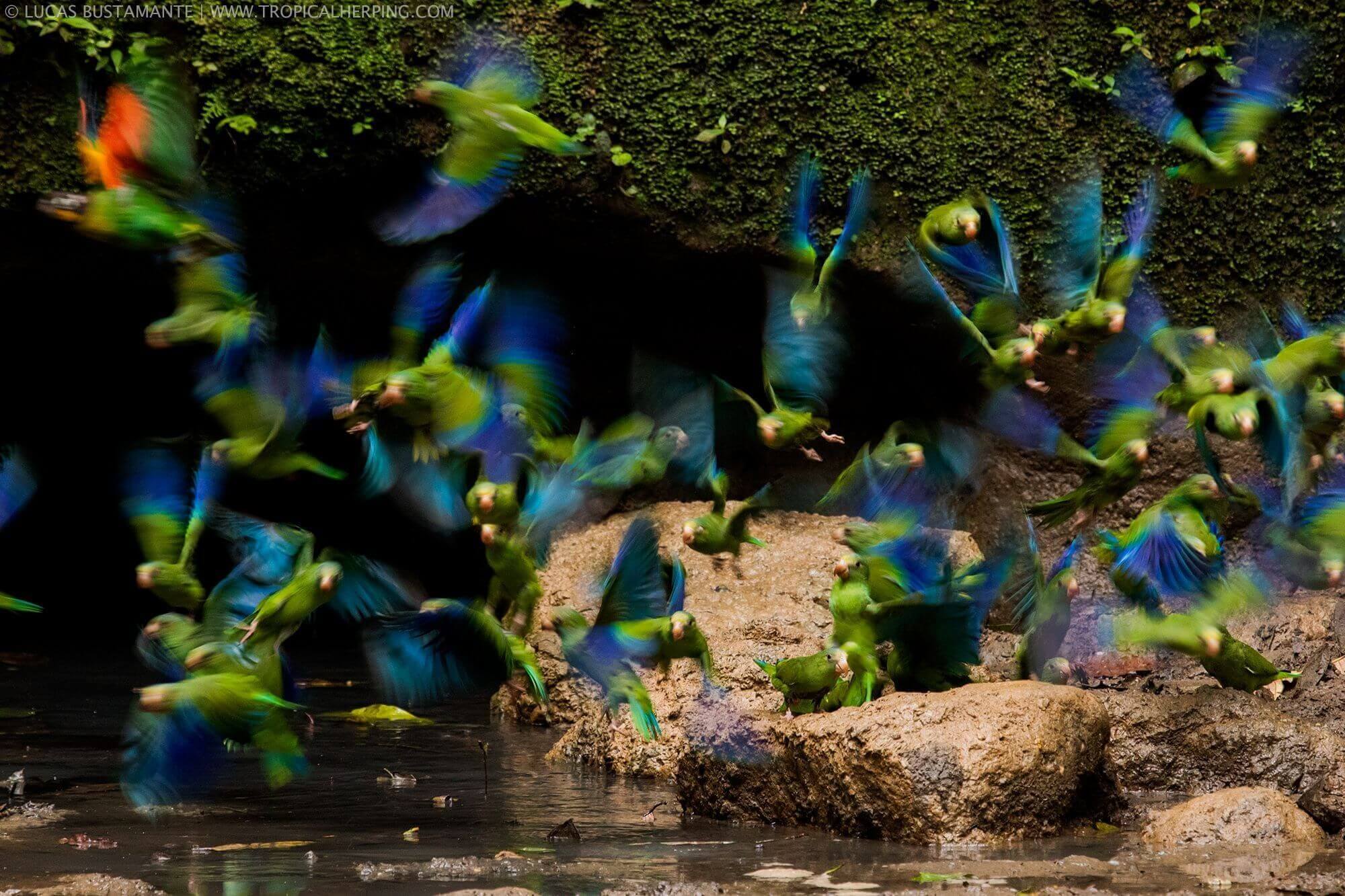 Ecuador Reisen