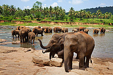 Gal Oya Nationalpark