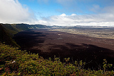 Isabela