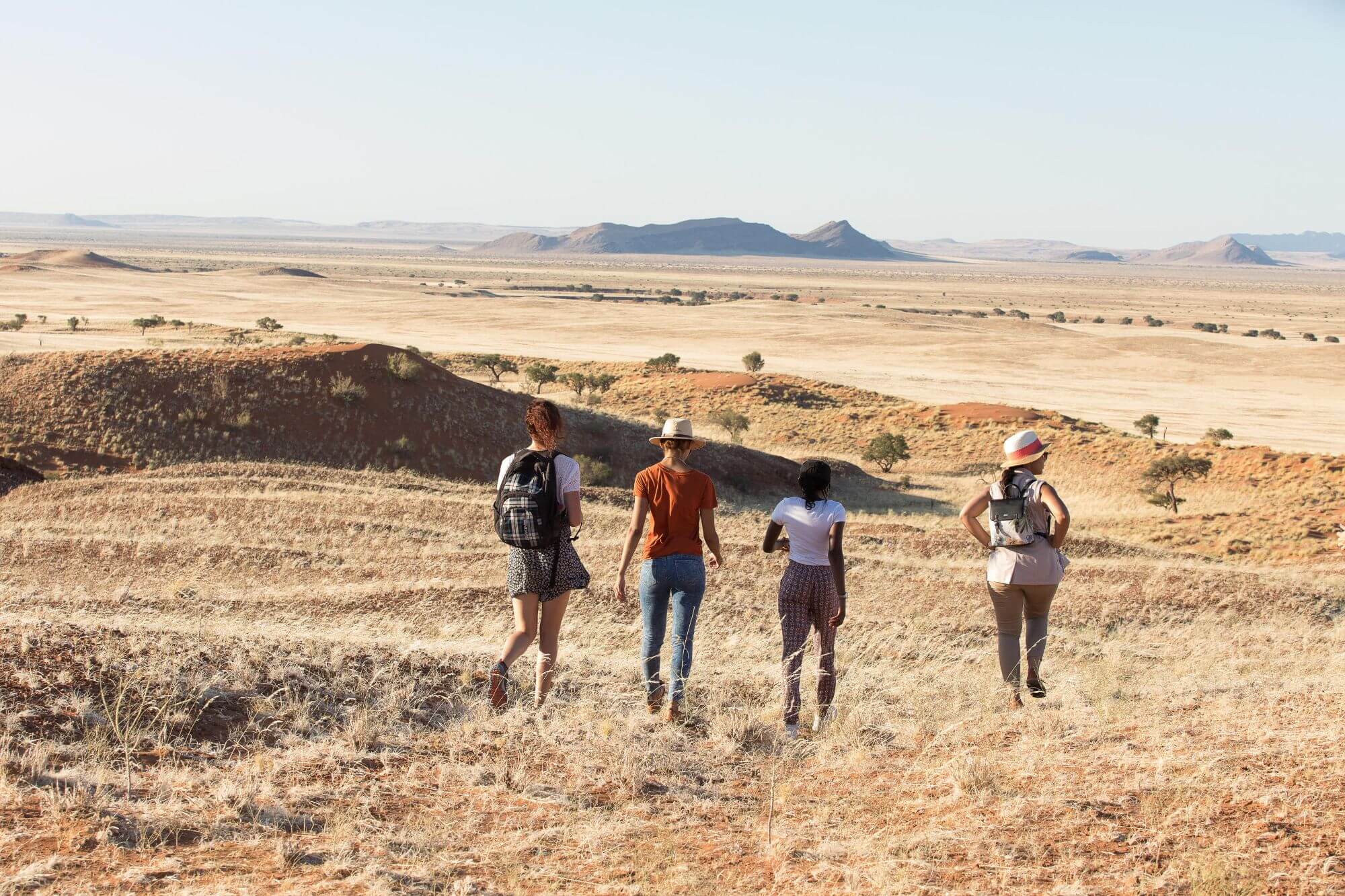 Kalahari Wüste display image