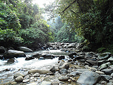 Kayan Mentarang