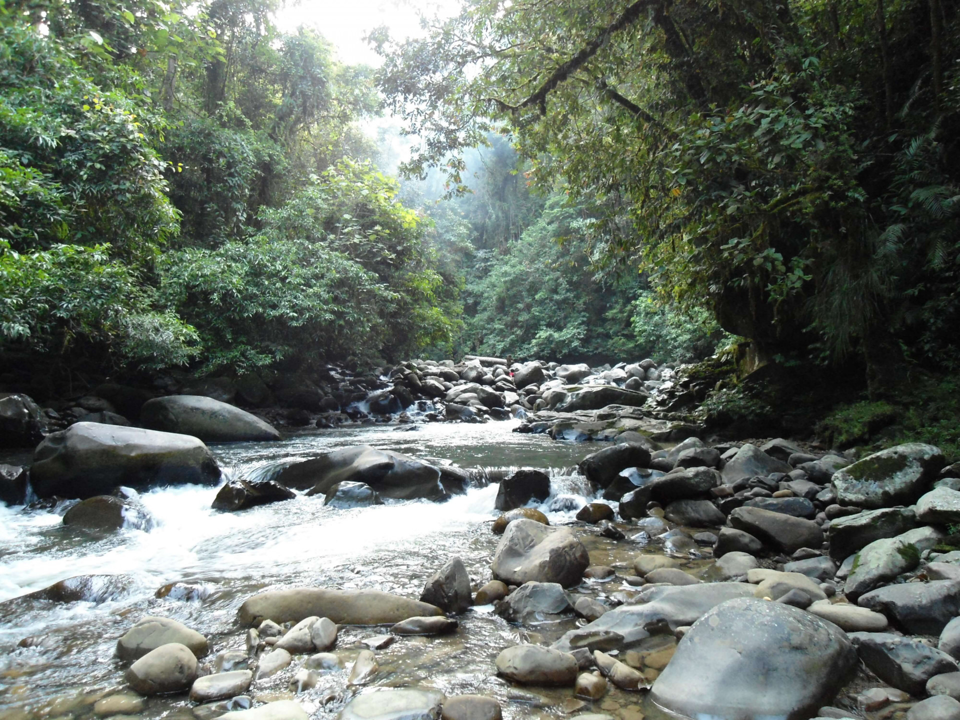 Kayan Mentarang display image
