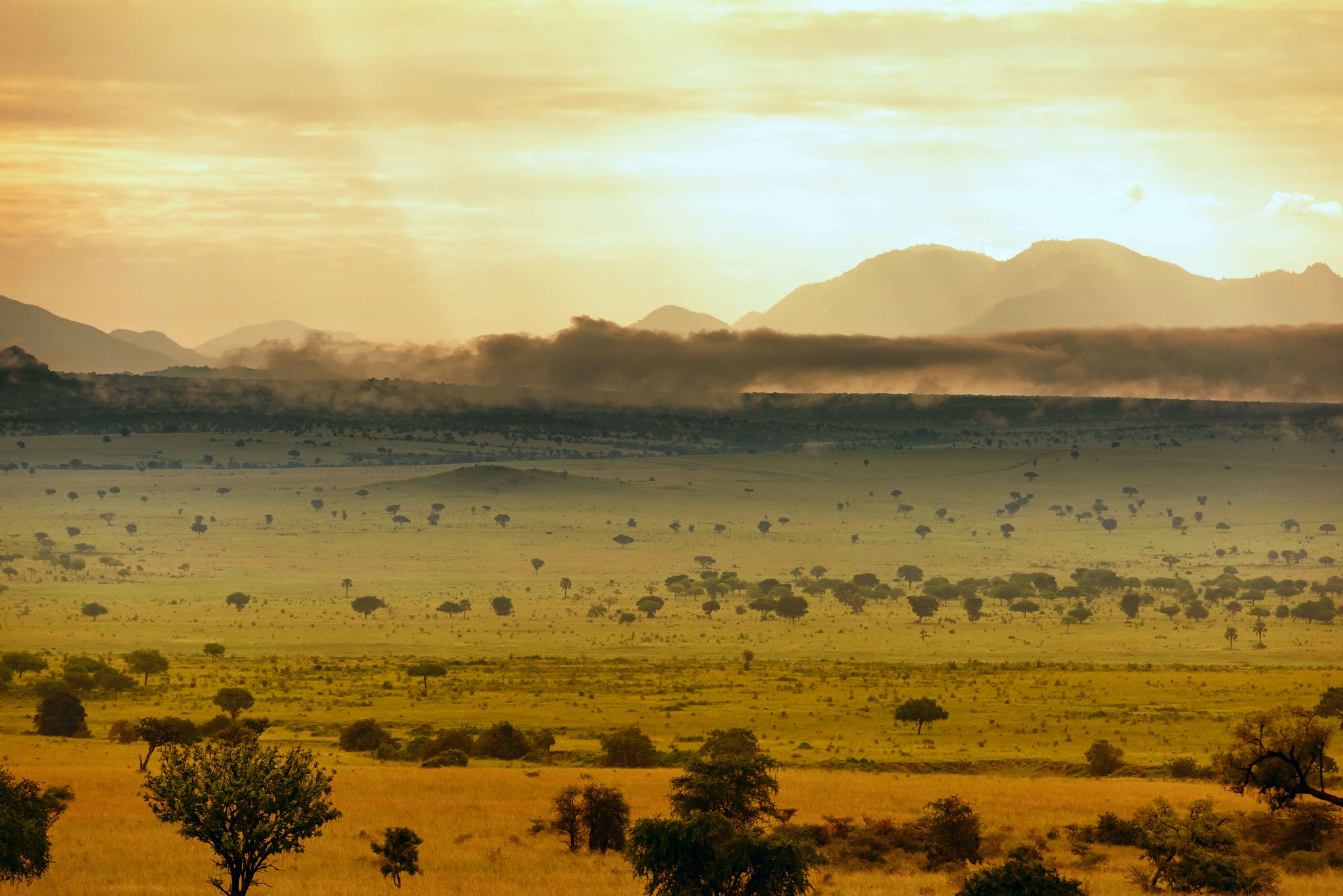 Kidepo Nationalpark display image