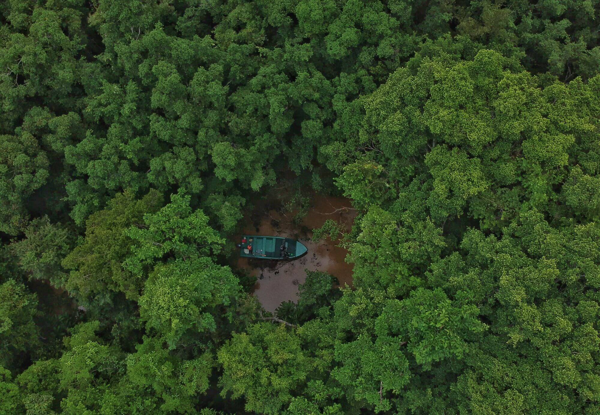 Kinabatangan River display image