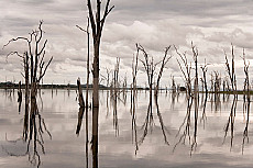 Lake Kariba