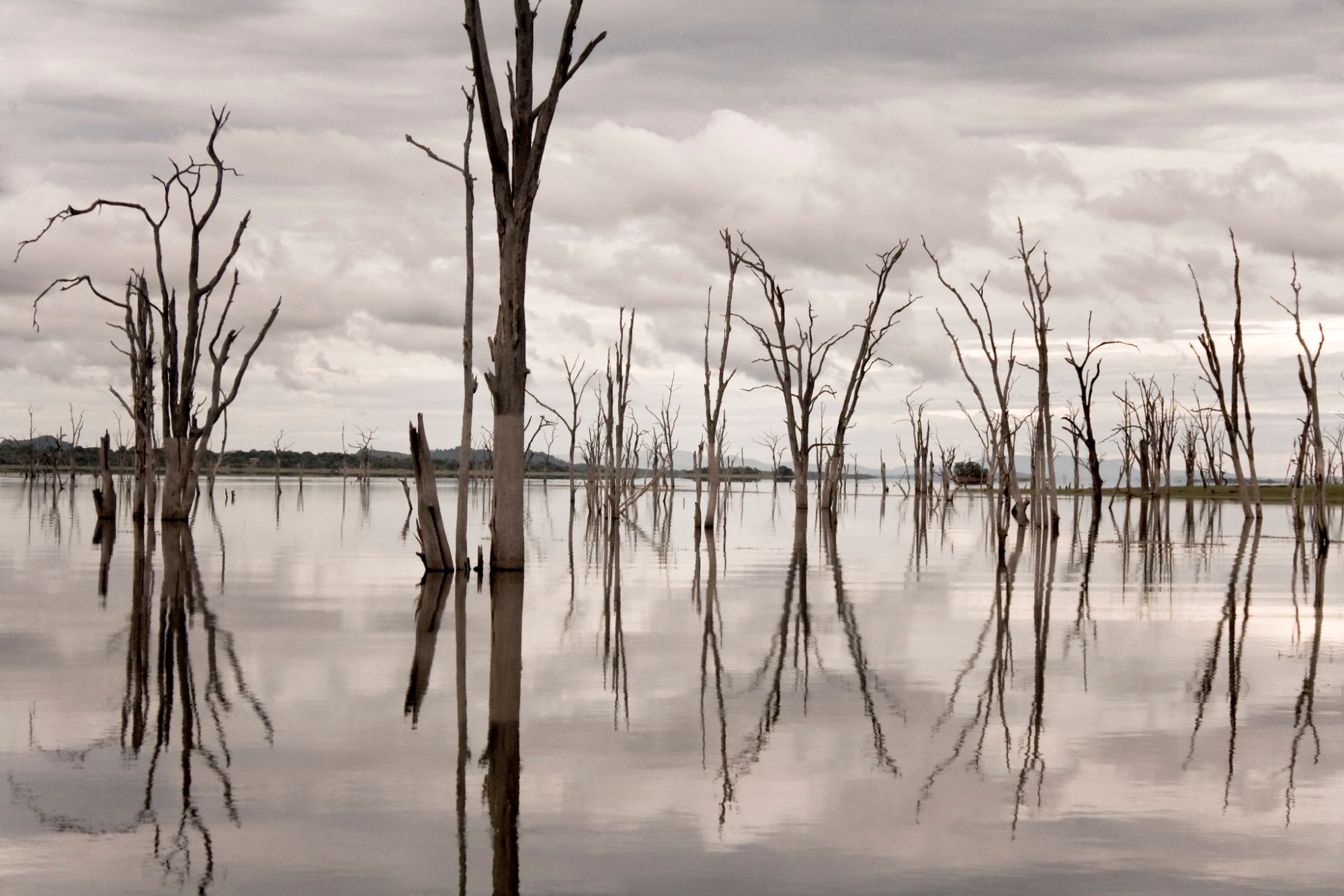 Lake Kariba display image