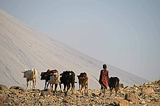 Lake Natron