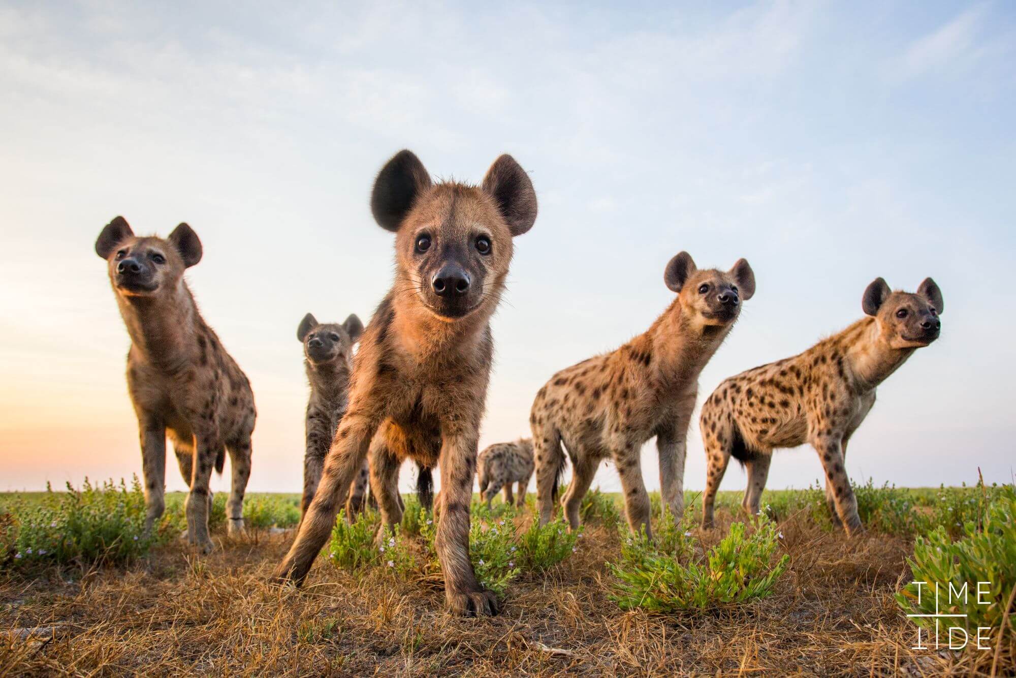 Liuwa Plain Nationalpark