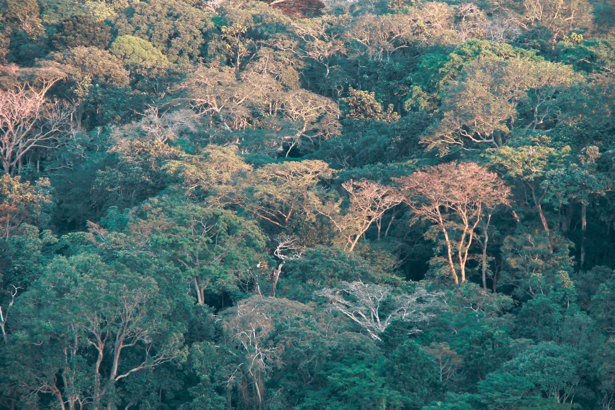 Lope Nationalpark display image