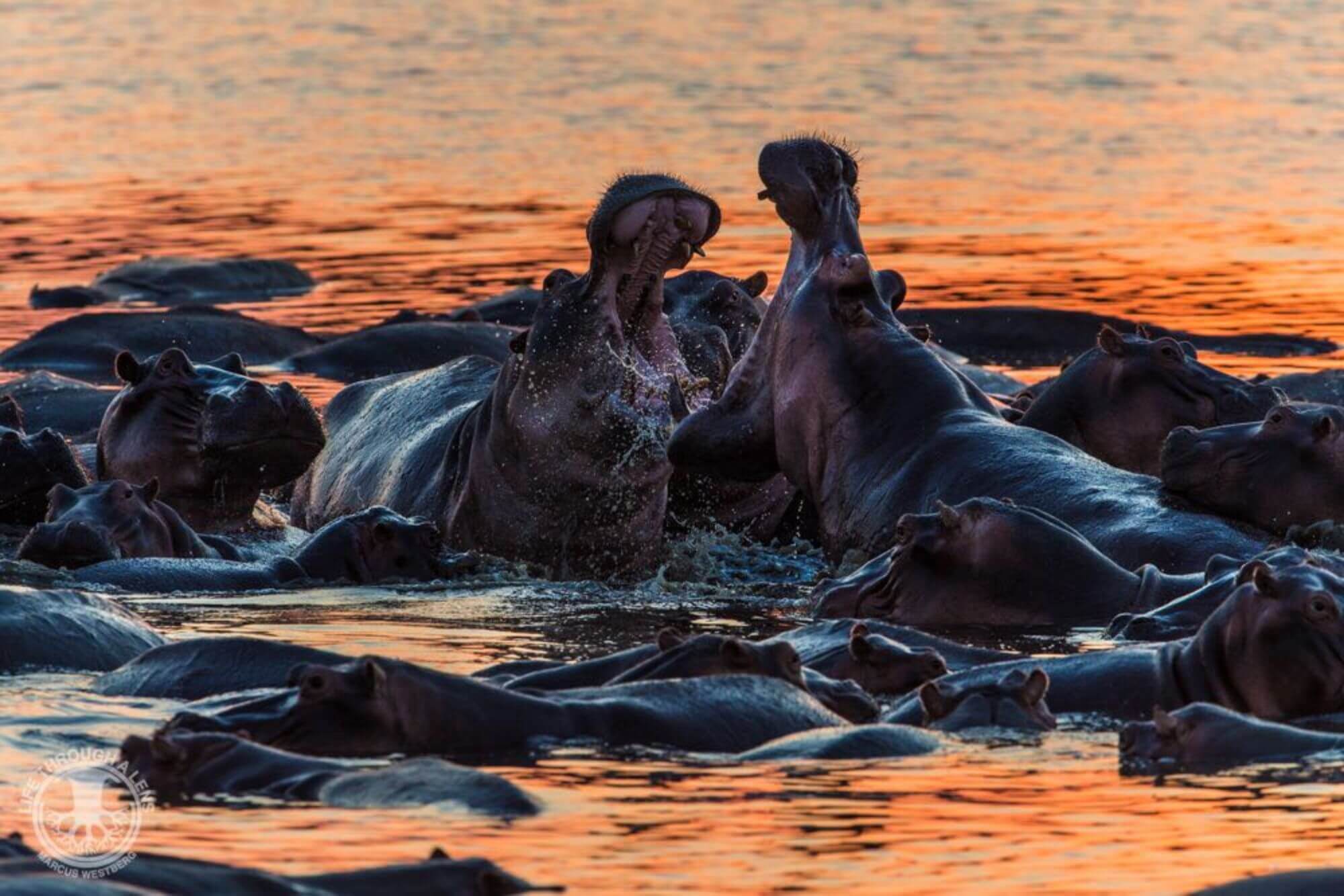 Luambe Nationalpark