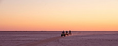 Botswana Highlights