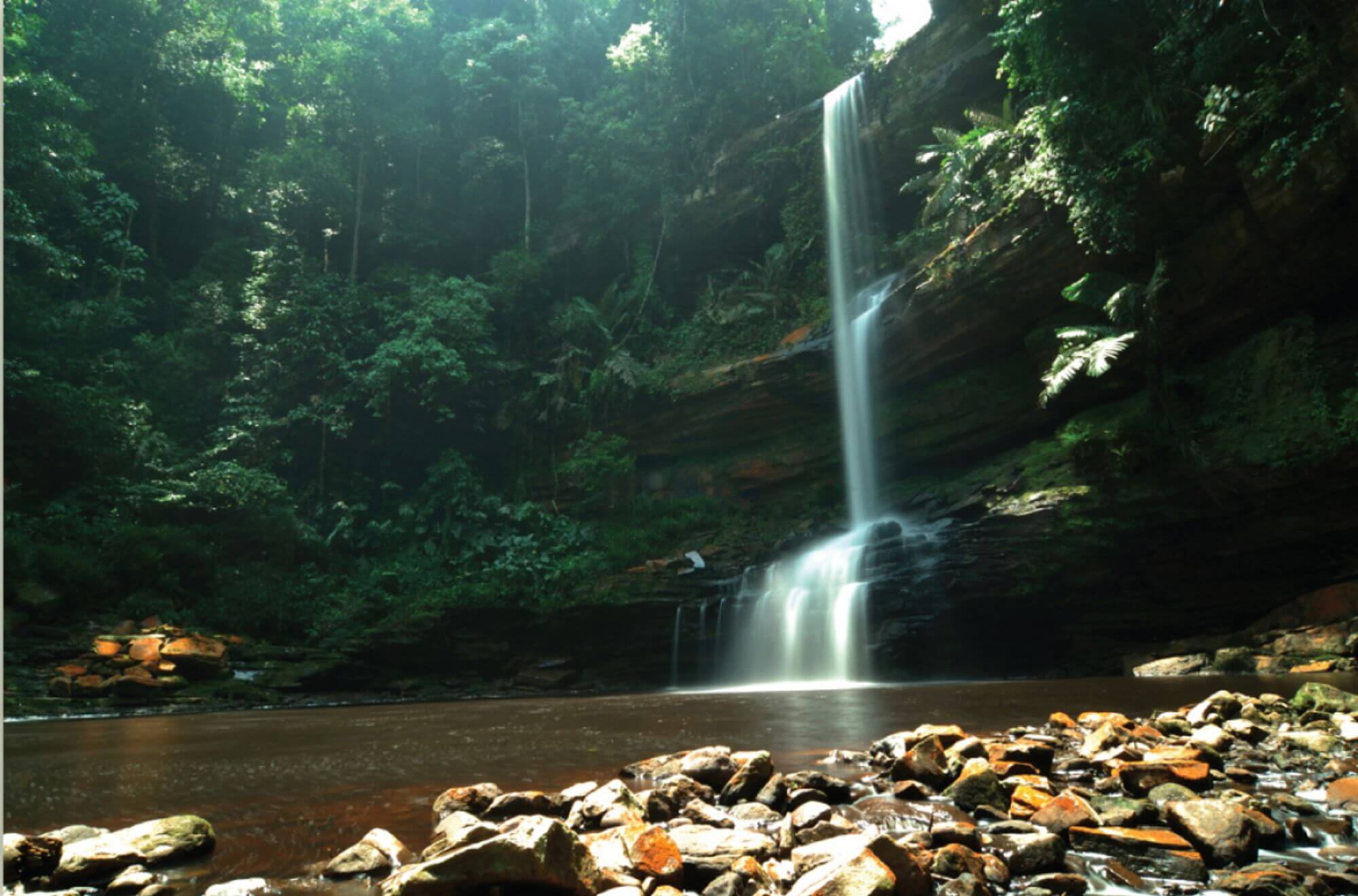 Maliau Basin display image