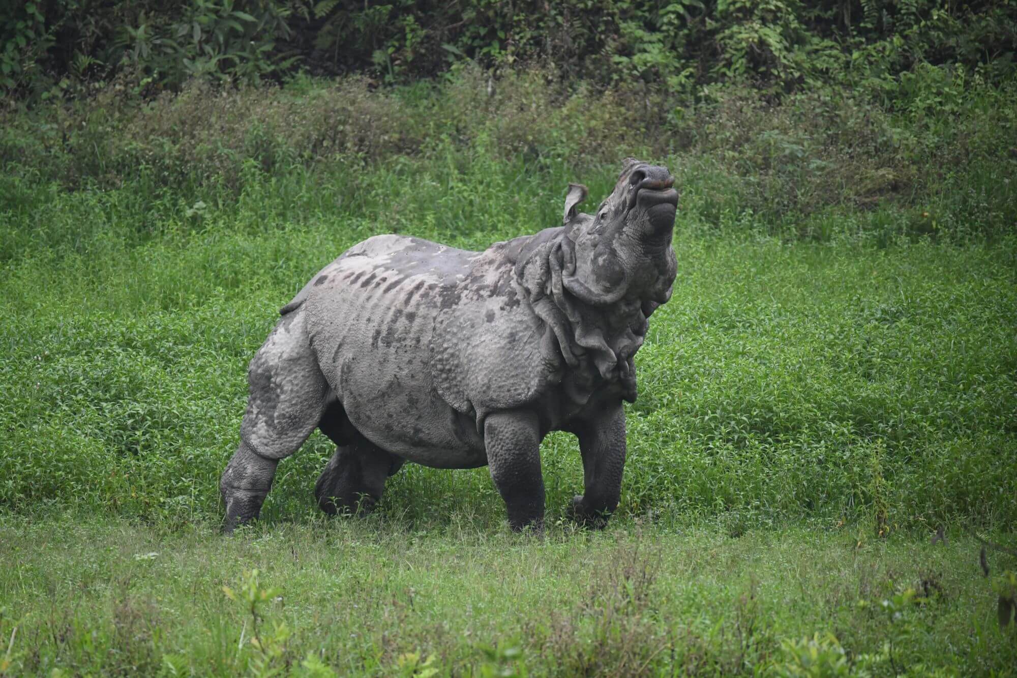 Manas-Nationalpark
