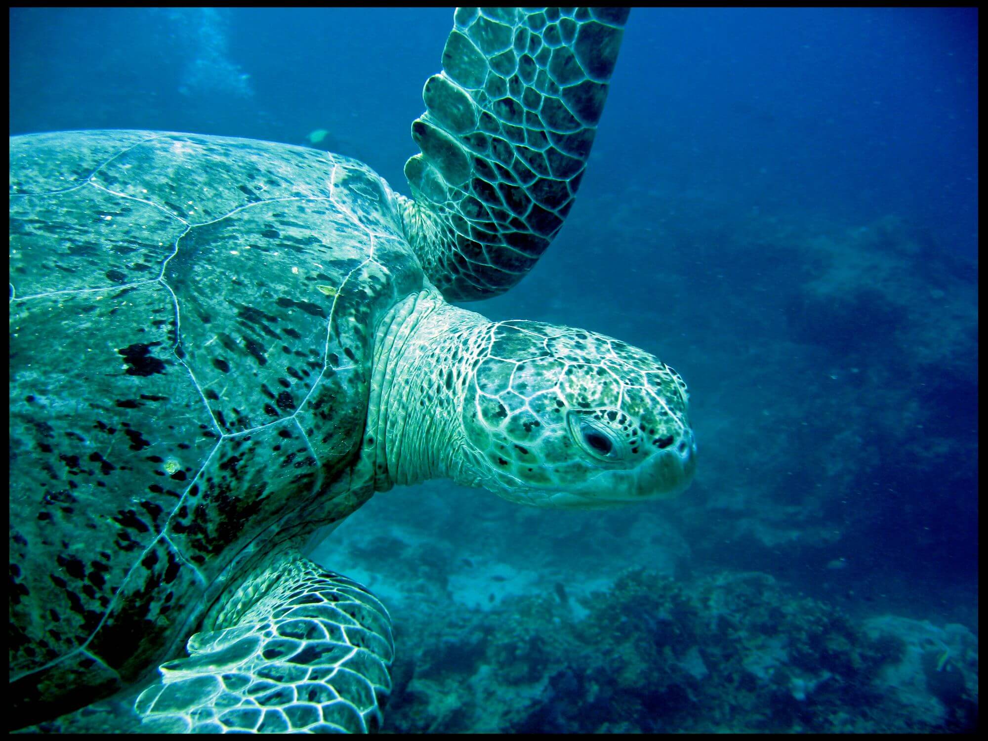 Maratua Atoll display image