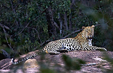 Matobo Hills