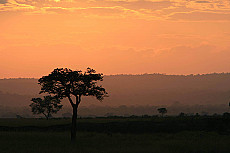 Mikumi-Nationalpark