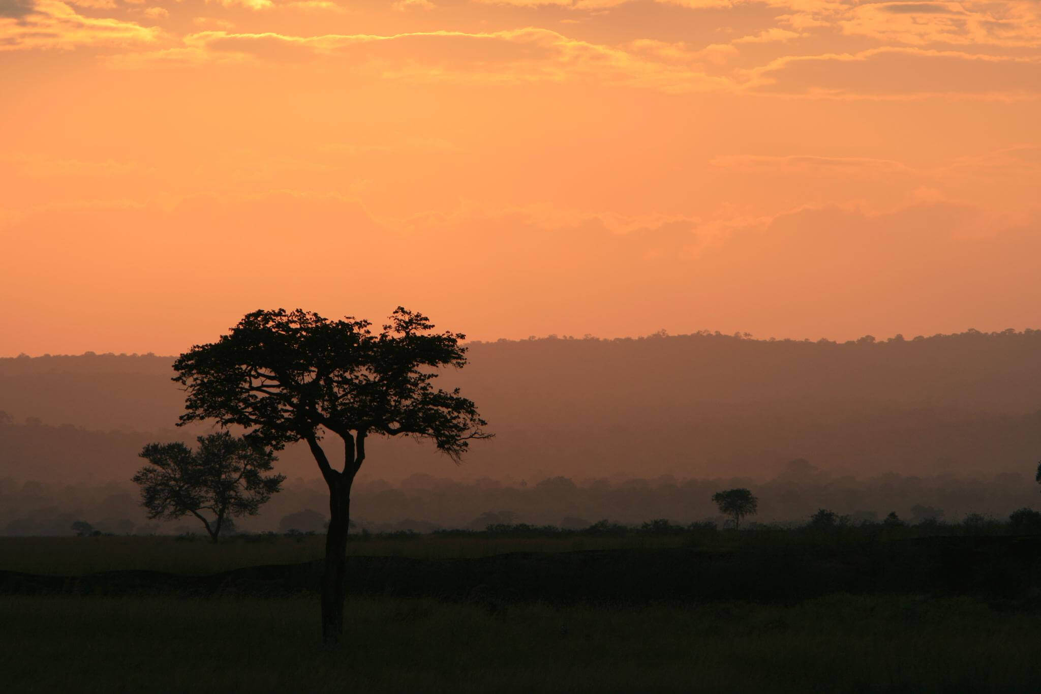 Mikumi-Nationalpark display image