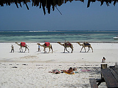 Mombasa