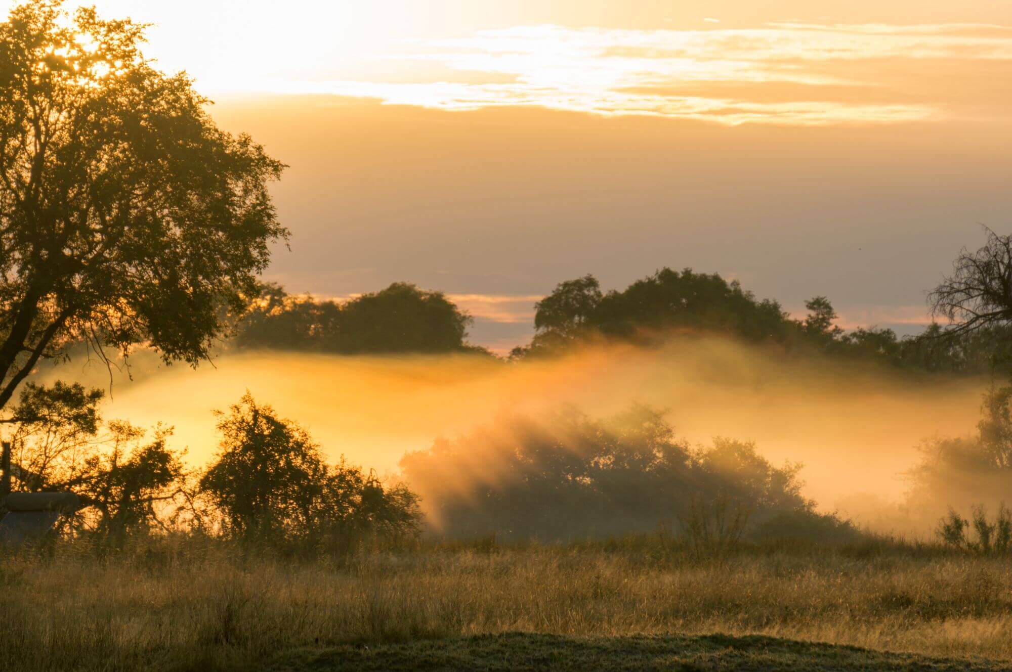Moremi Game Reserve