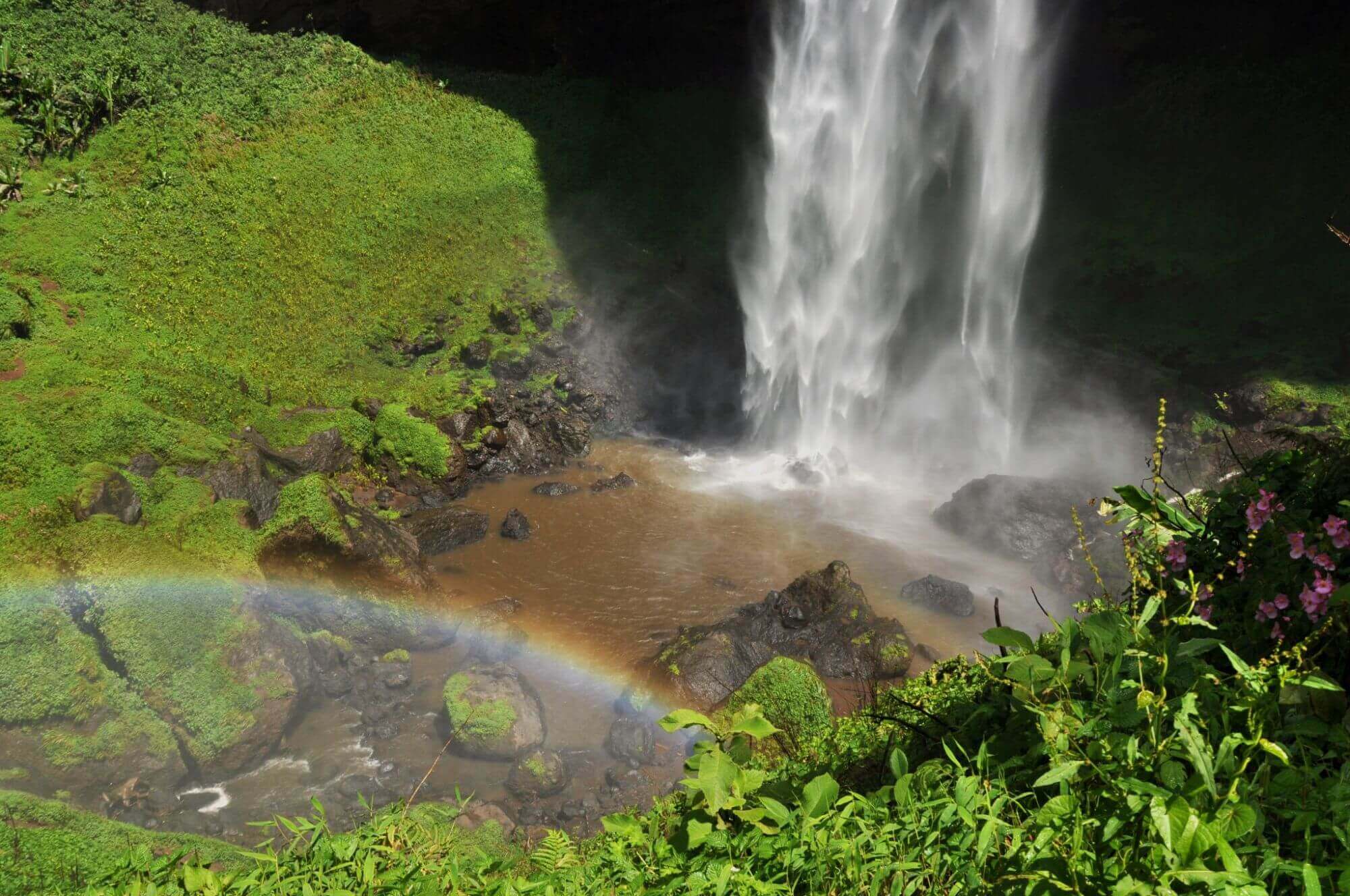 Mount Elgon display image