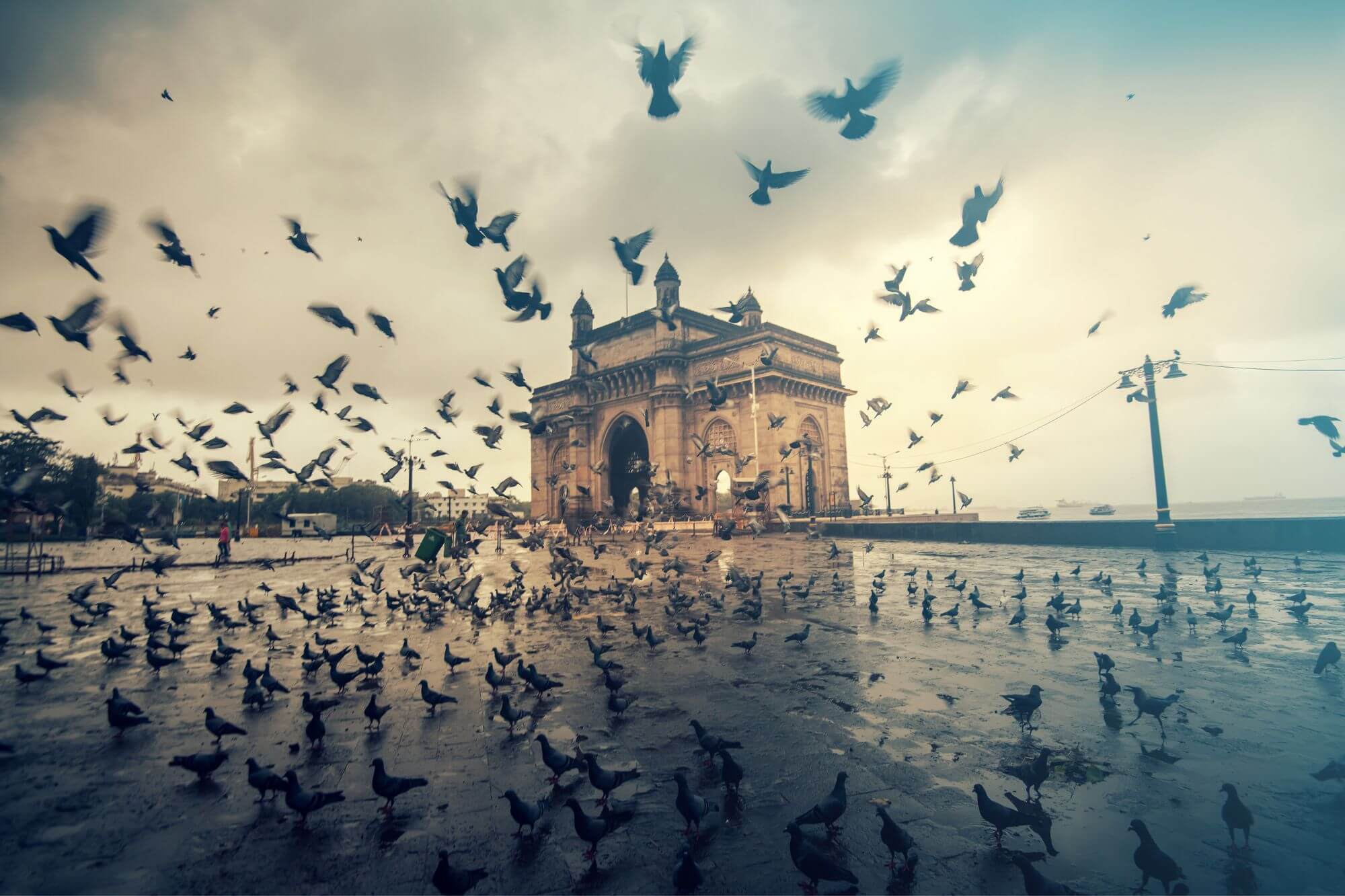 Mumbai display image