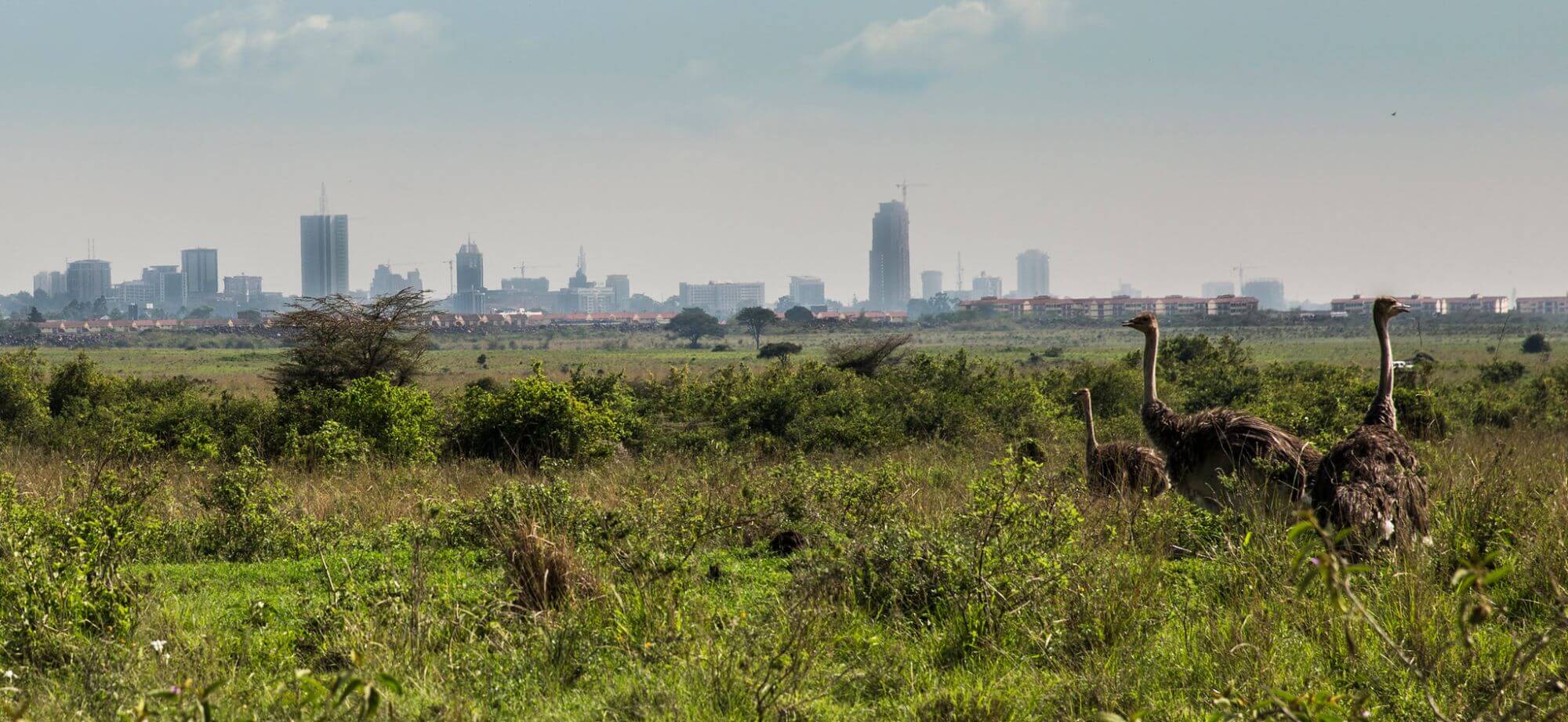 Nairobi