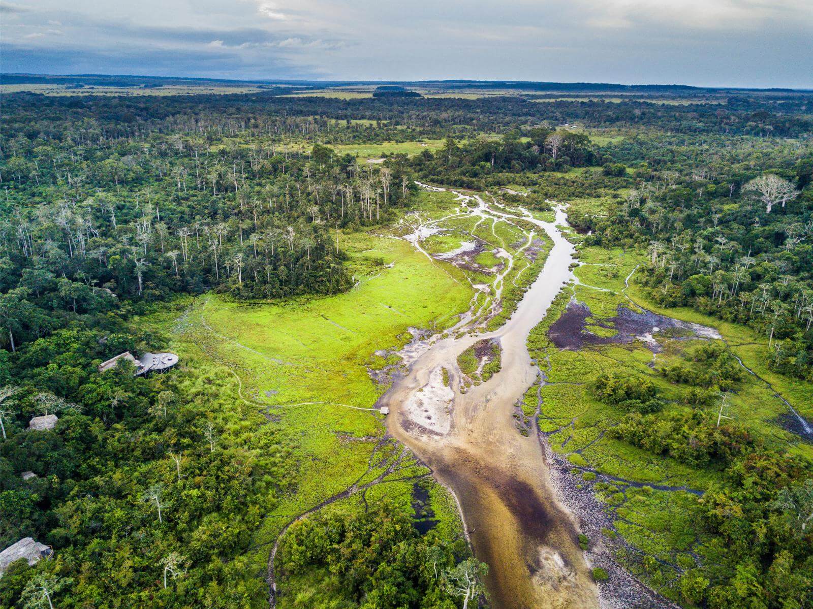 Odzala-Kokoua Nationalpark display image