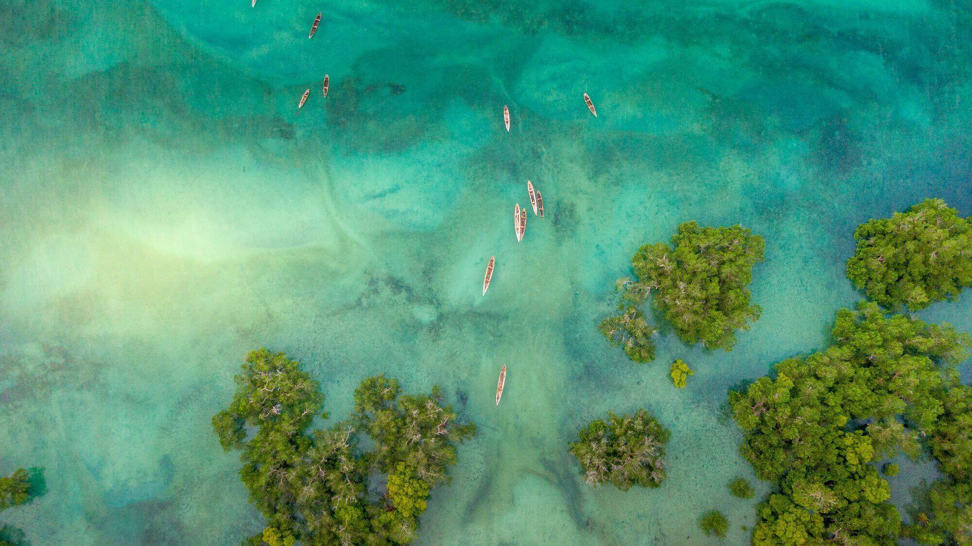 Pemba Island display image