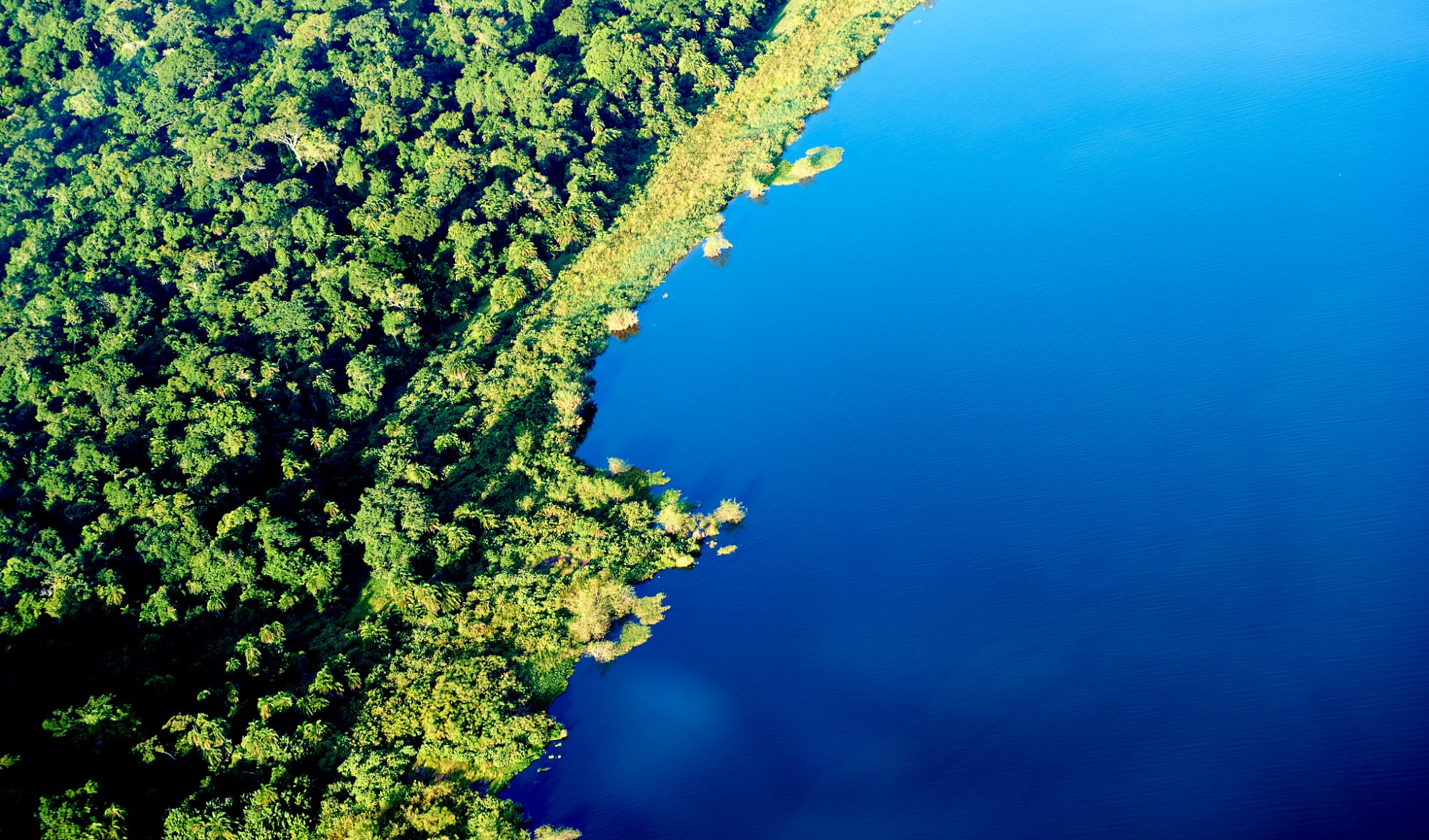 Rubondo Island display image