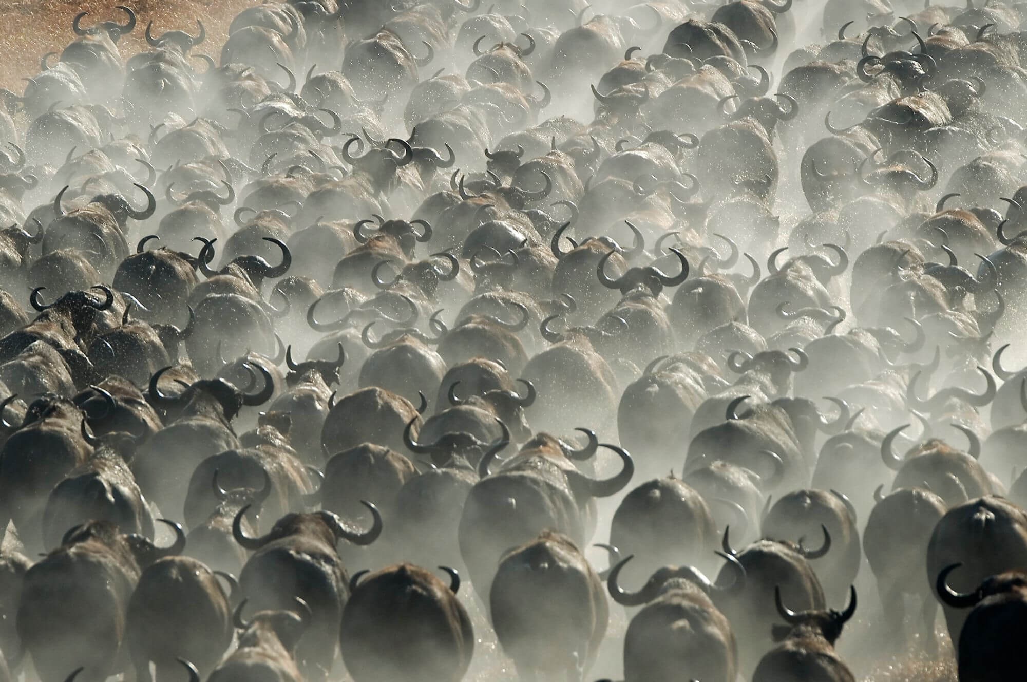 Busanga Plains