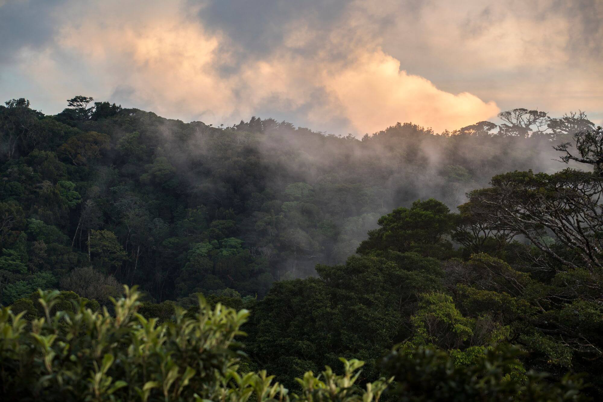 San Jose (Costa Rica)