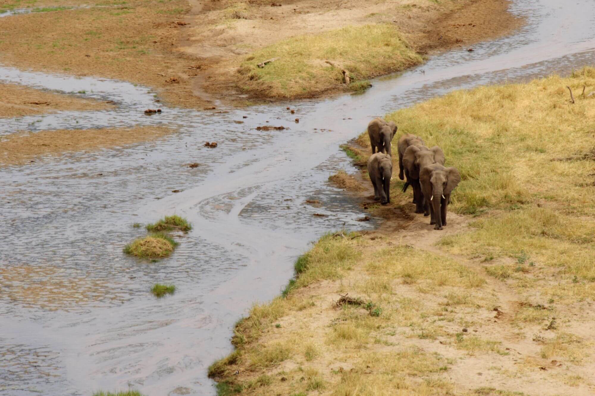 Tarangire