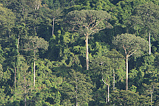 Udzungwa Nationalpark