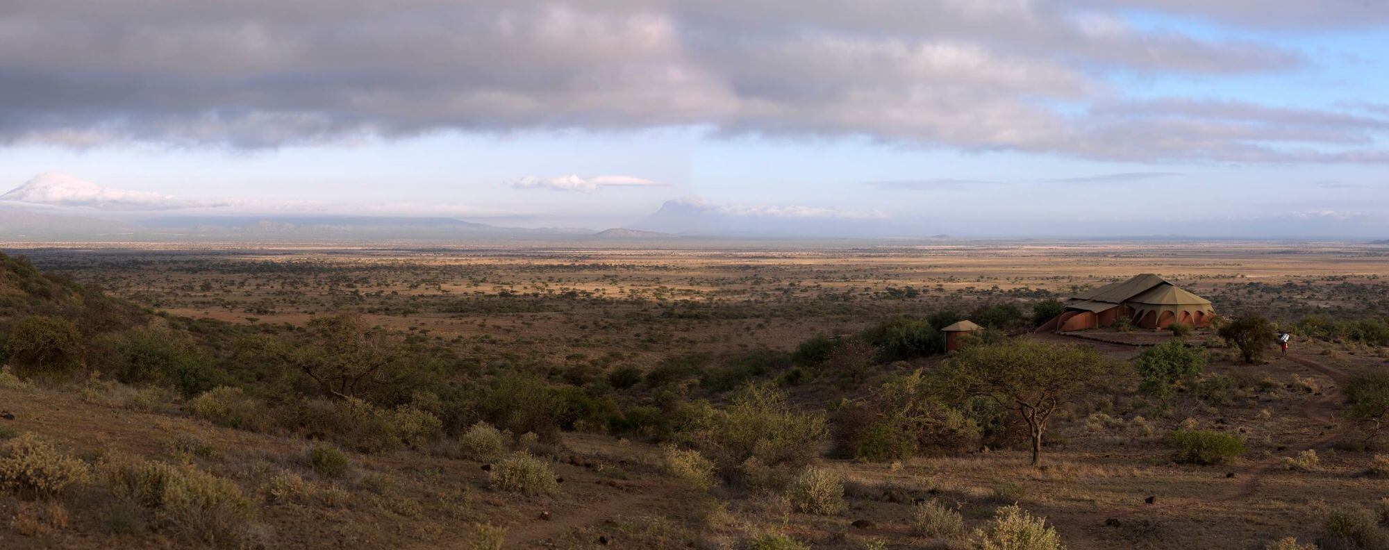 West Kilimanjaro display image
