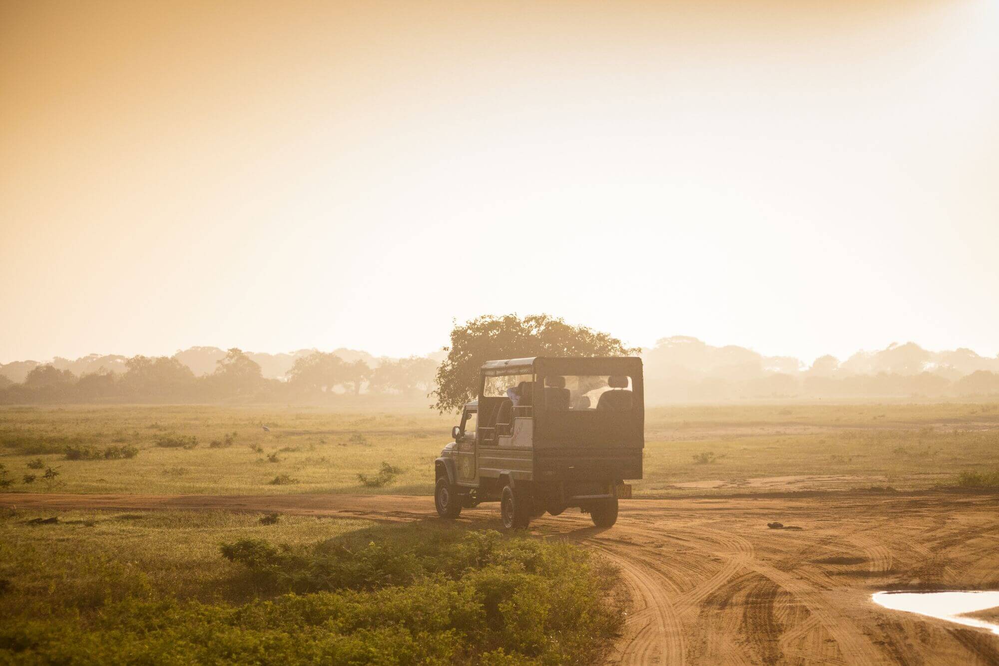 Yala Nationalpark display image