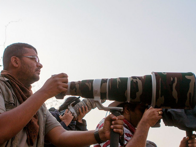 Aditya avatar