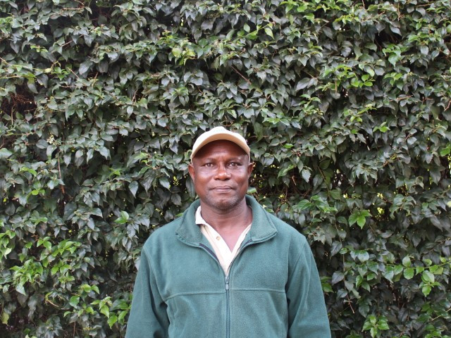 Juma (Bushbaby) avatar
