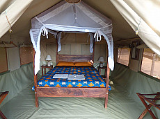 Blue Monkey Guesthouse