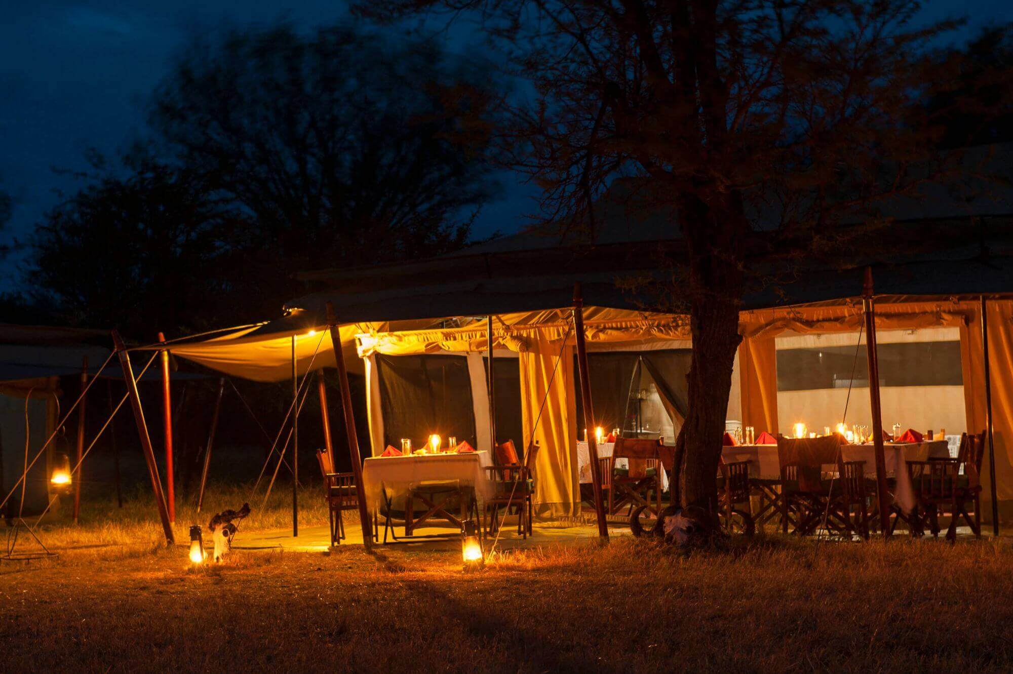 Bologonya Under Canvas