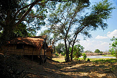 Buffalo Camp