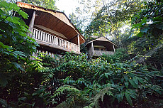 Buhoma Lodge