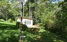 Emau Hill Forest Camp