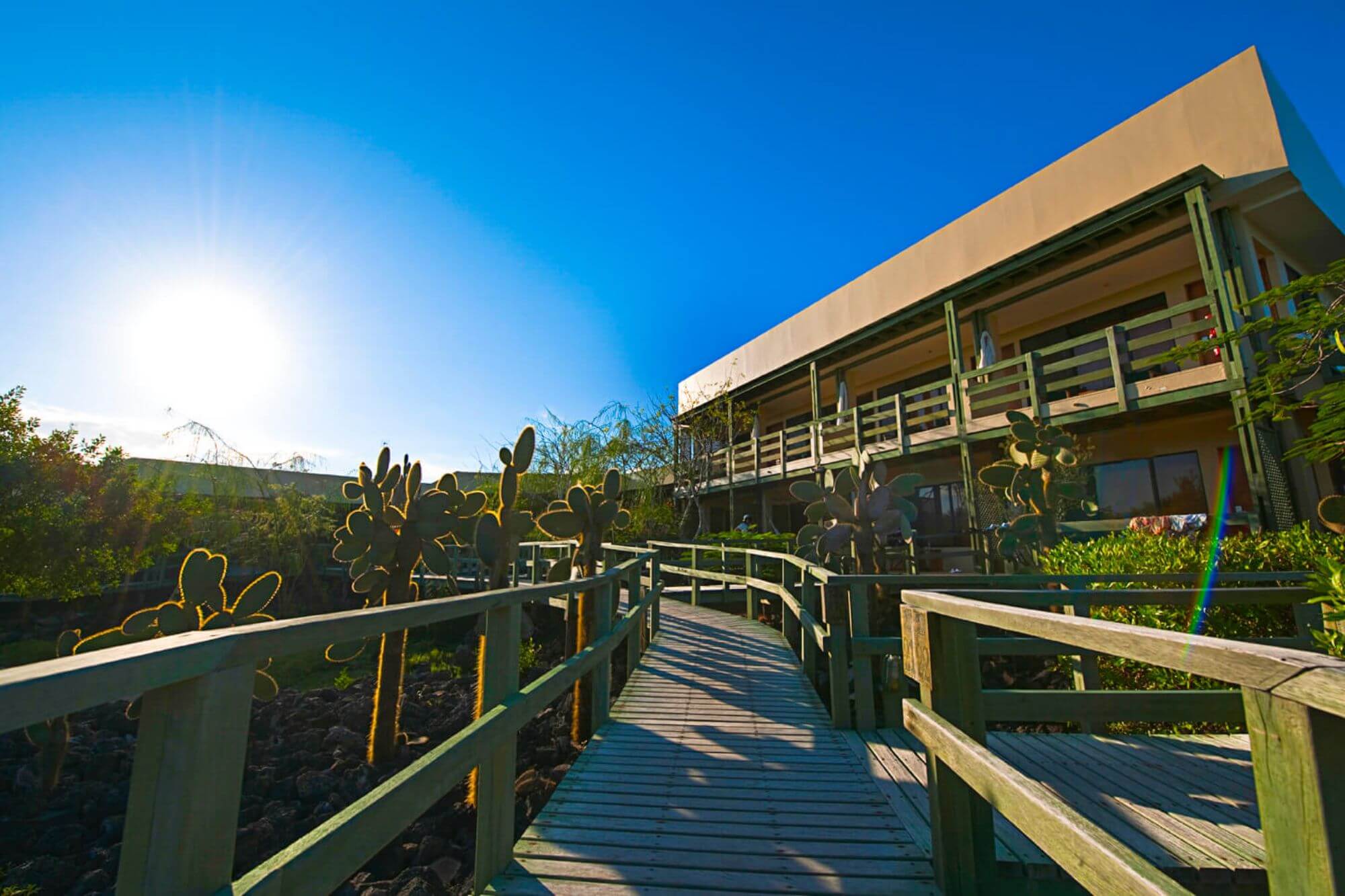 Finch Bay Hotel